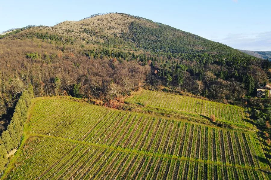 Immagine Die Entdeckung des Weinguts Bagnolo und seines Pinot Noir 11