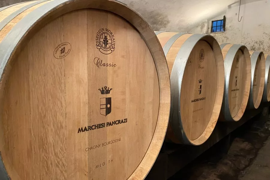 Immagine Die Entdeckung des Weinguts Bagnolo und seines Pinot Noir 12