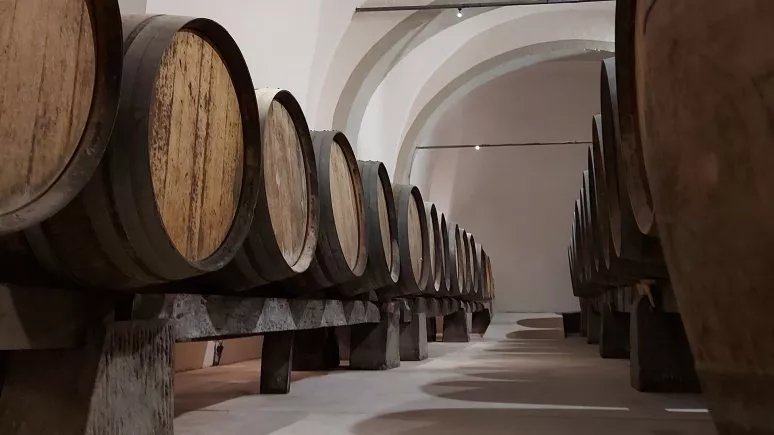 Immagine visita Alla scoperta della Tenuta di Bagnolo e del suo Pinot Nero cantina Cantina Marchesi Pancrazi Immagine visita Alla scoperta della Tenuta di Bagnolo e del suo Pinot Nero cantina Cantina Marchesi Pancrazi
