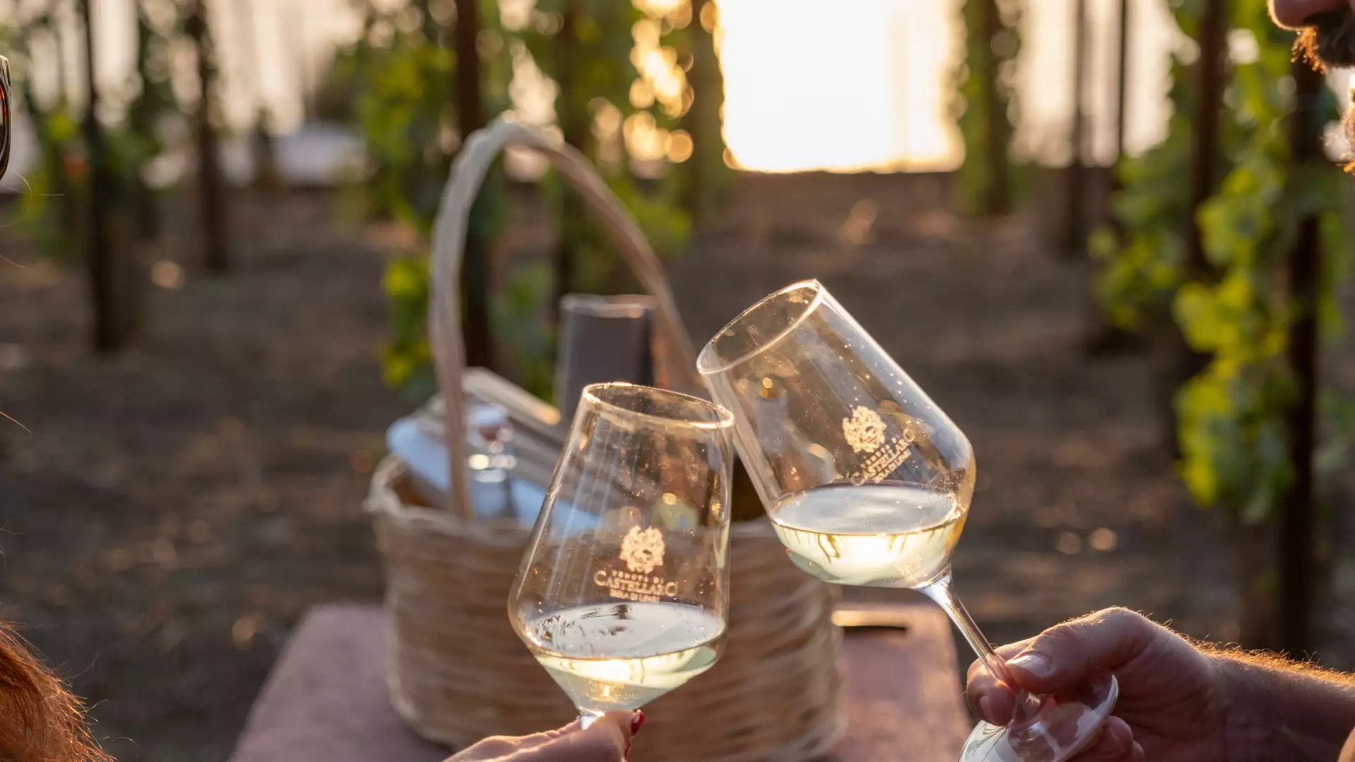 Immagine PIC-NIC IN VIGNA AL TRAMONTO 3 Immagine PIC-NIC IN VIGNA AL TRAMONTO 3