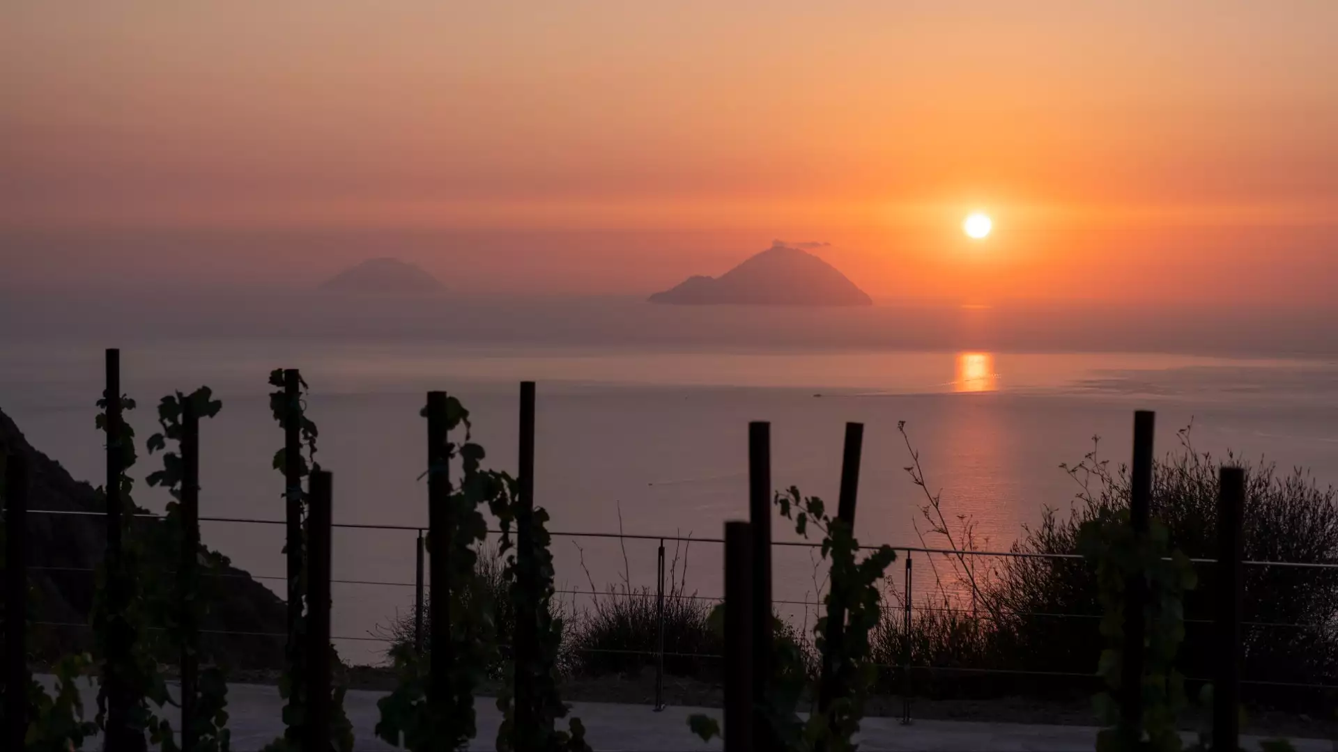 Immagine BRINDISI AL SOLE 7 Immagine BRINDISI AL SOLE 7