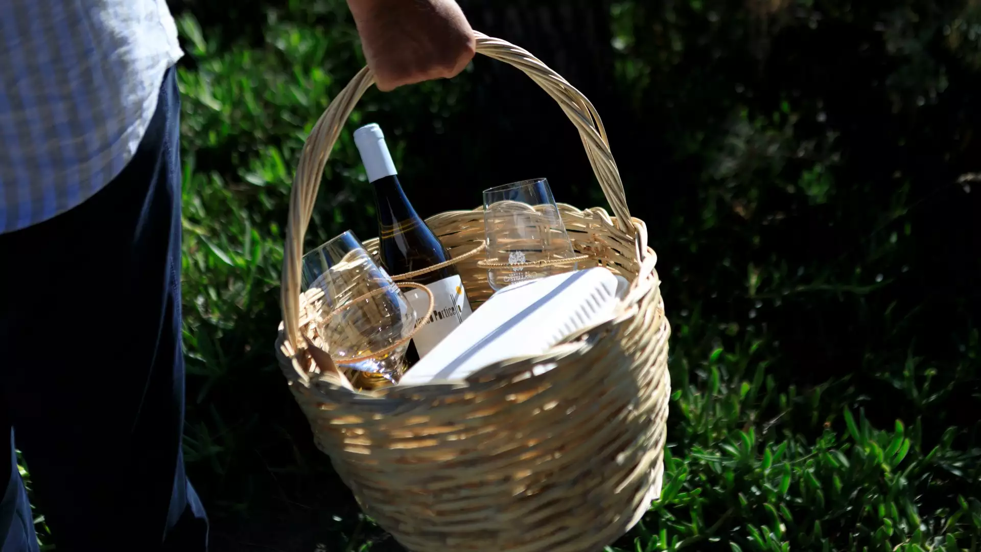 Immagine Picnic a Castellaro 6 Immagine Picnic a Castellaro 6