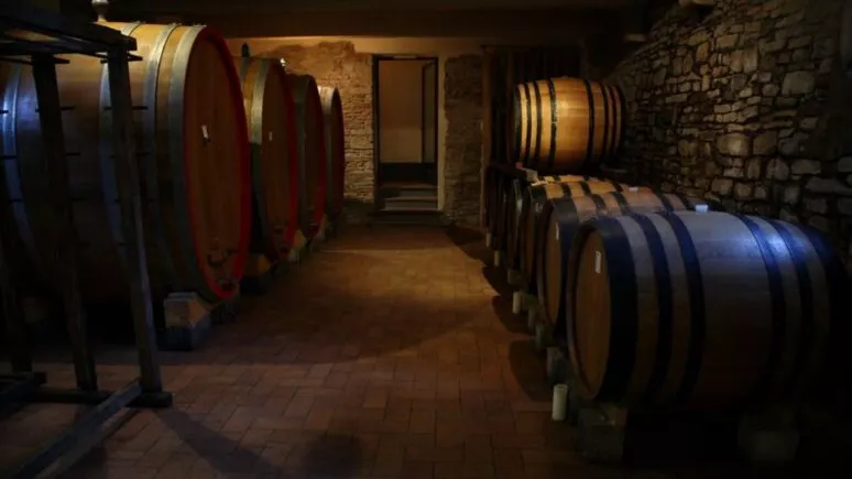 Immagine visita Degustazione Classica cantina La Torre
