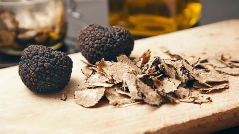Immagine visita Alla Ricerca del Tartufo cantina La Torre Immagine visita Alla Ricerca del Tartufo cantina La Torre