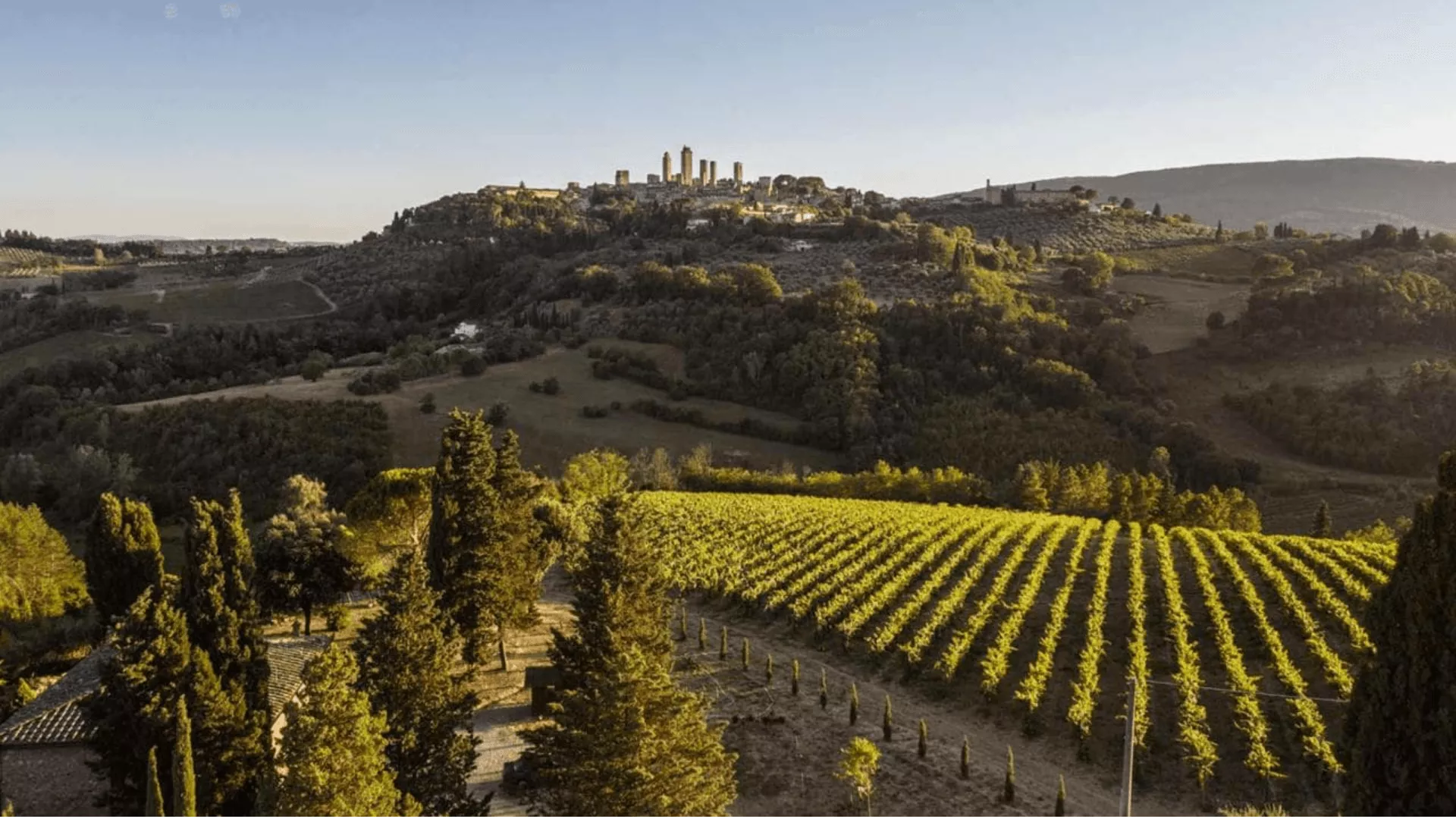 Immagine cantina Arrigoni Wine Family - Pietraserena
