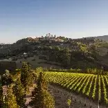 Arrigoni Wine Family - Pietraserena logo