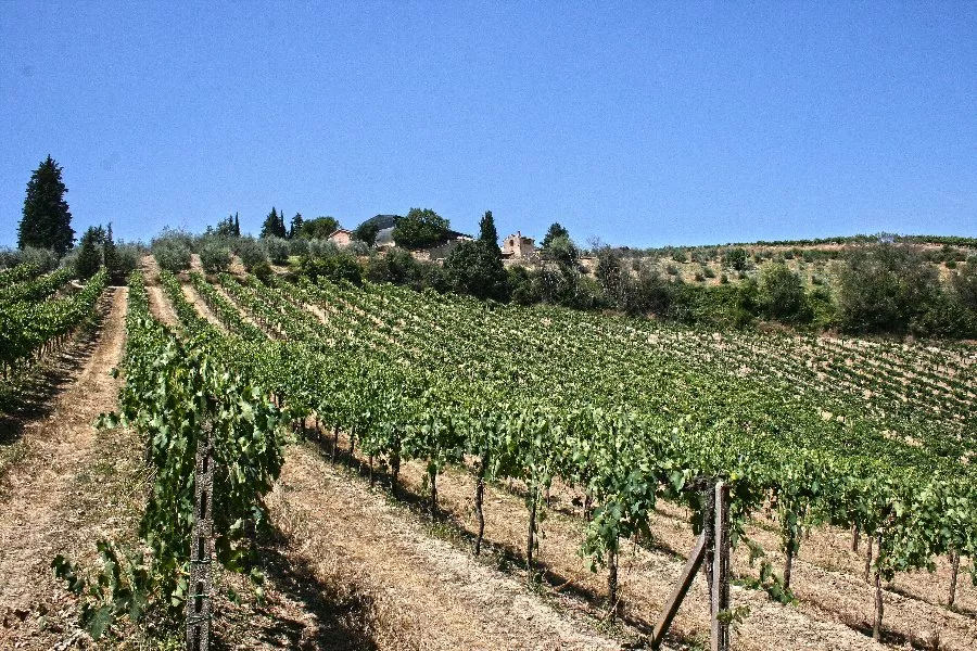 Immagine Degustazione 4 vini 8 Immagine Degustazione 4 vini 8
