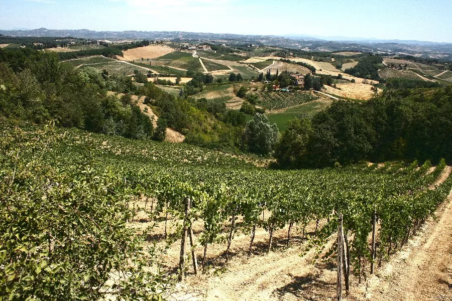 Immagine Degustazione 4 vini 9 Immagine Degustazione 4 vini 9