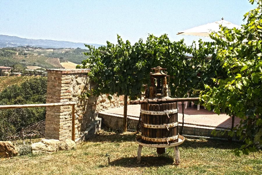 Immagine Degustazione 4 vini 10 Immagine Degustazione 4 vini 10