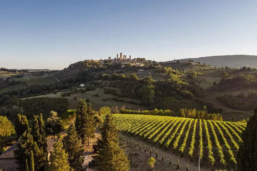 Immagine Degustazione 4 vini 11 Immagine Degustazione 4 vini 11
