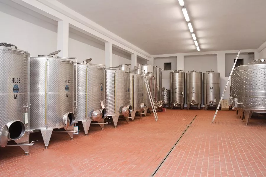 Immagine Gran Tagliere Toscano, Tour delle cantine, Degustazione vini 14 Immagine Gran Tagliere Toscano, Tour delle cantine, Degustazione vini 14