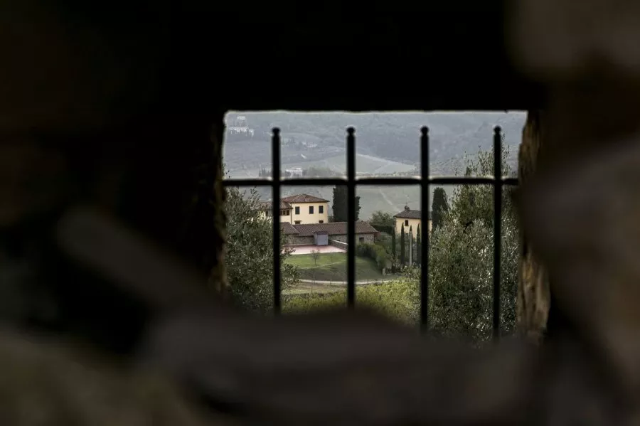 Immagine Gran Tagliere Toscano, Tour delle cantine, Degustazione vini 23 Immagine Gran Tagliere Toscano, Tour delle cantine, Degustazione vini 23