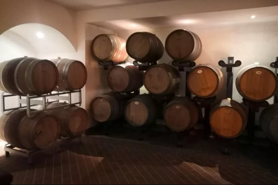Immagine Gran Tagliere Toscano, Tour delle cantine, Degustazione vini 27 Immagine Gran Tagliere Toscano, Tour delle cantine, Degustazione vini 27