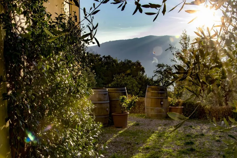 Immagine Gran Tagliere Toscano, Tour delle cantine, Degustazione vini 30 Immagine Gran Tagliere Toscano, Tour delle cantine, Degustazione vini 30