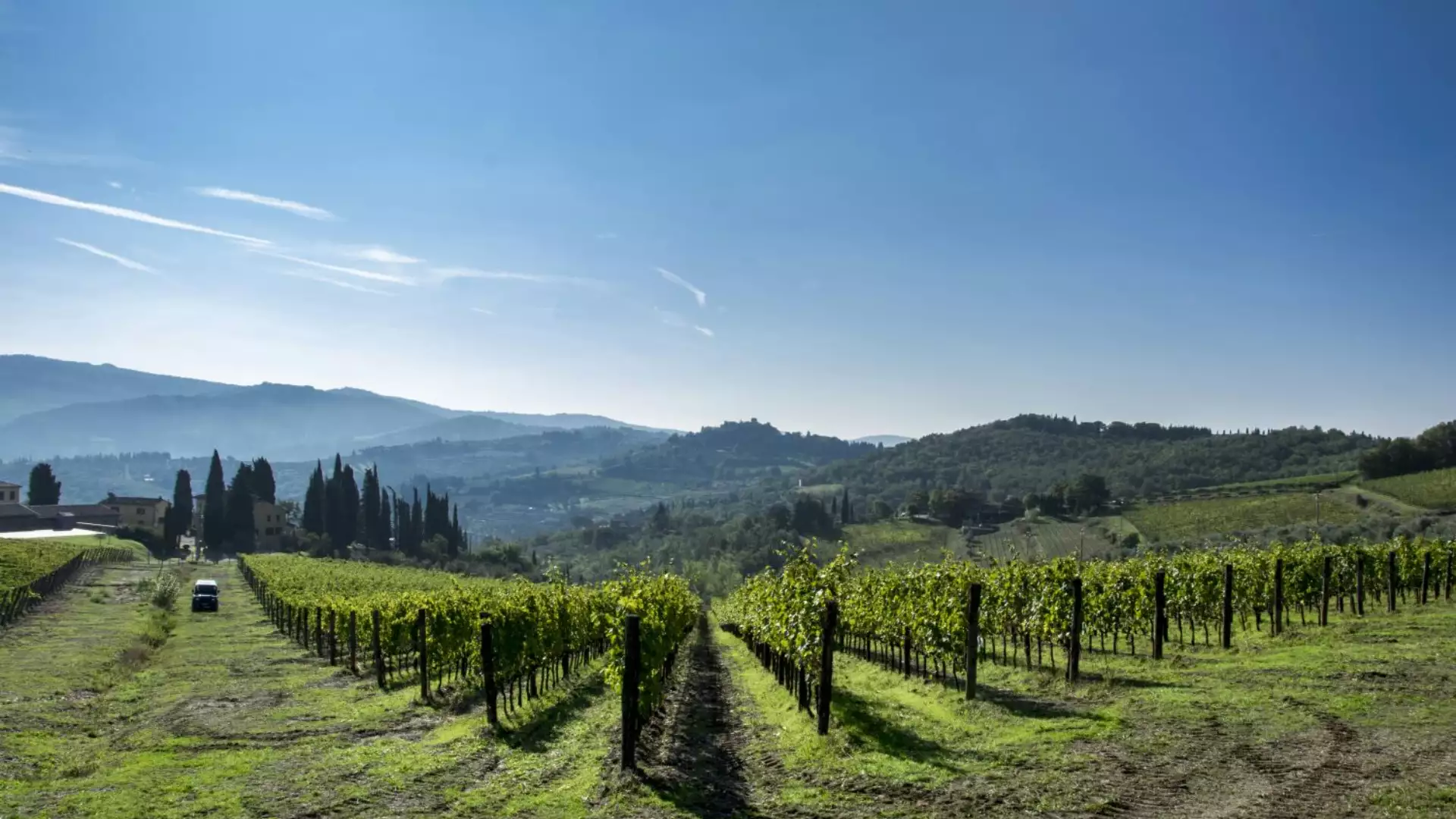 Immagine Exklusives Mittagessen mit Kellertour und Verkostung in den Chianti Classico Hügeln 4 Immagine Exklusives Mittagessen mit Kellertour und Verkostung in den Chianti Classico Hügeln 4