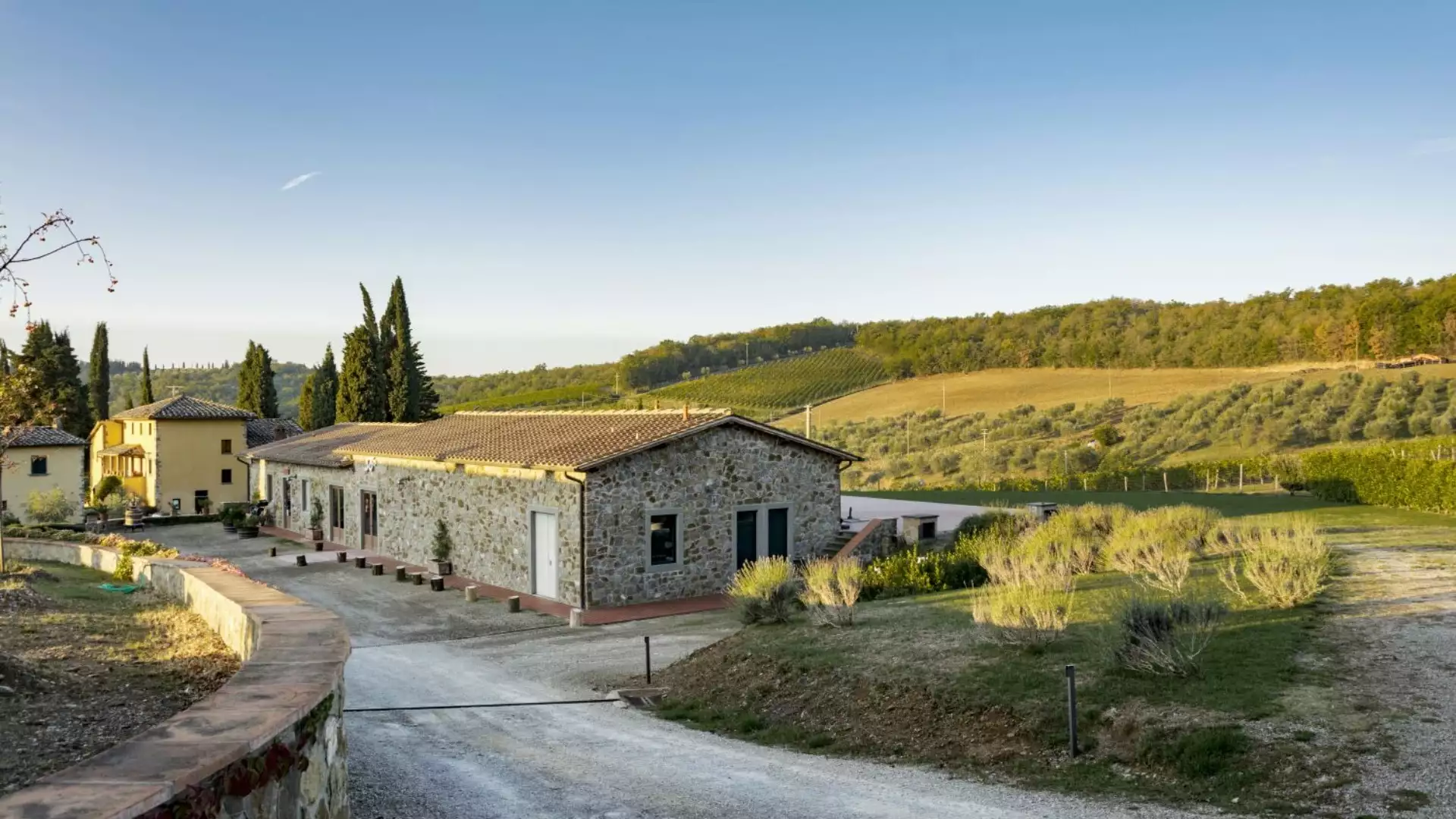 Immagine Exklusives Mittagessen mit Kellertour und Verkostung in den Chianti Classico Hügeln 5 Immagine Exklusives Mittagessen mit Kellertour und Verkostung in den Chianti Classico Hügeln 5