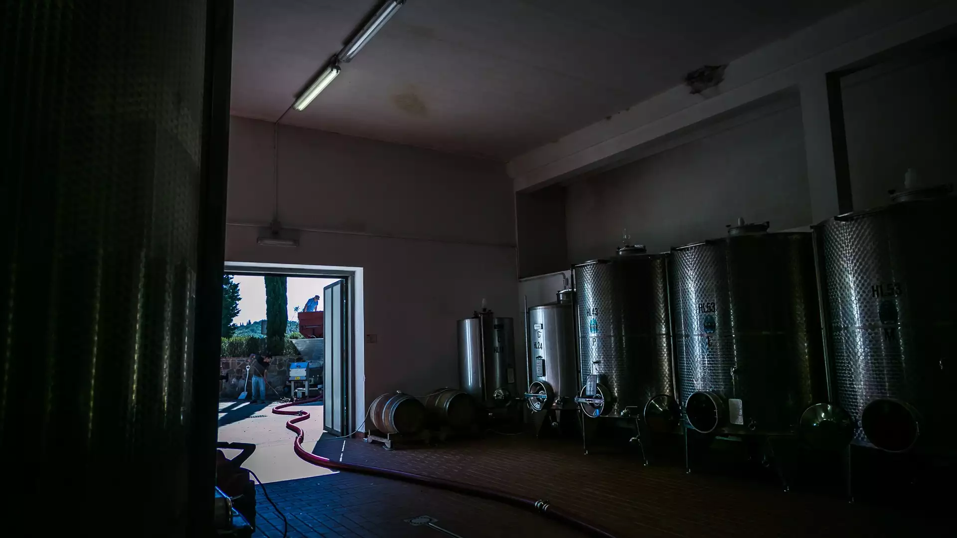 Immagine Exklusives Mittagessen mit Kellertour und Verkostung in den Chianti Classico Hügeln 6 Immagine Exklusives Mittagessen mit Kellertour und Verkostung in den Chianti Classico Hügeln 6