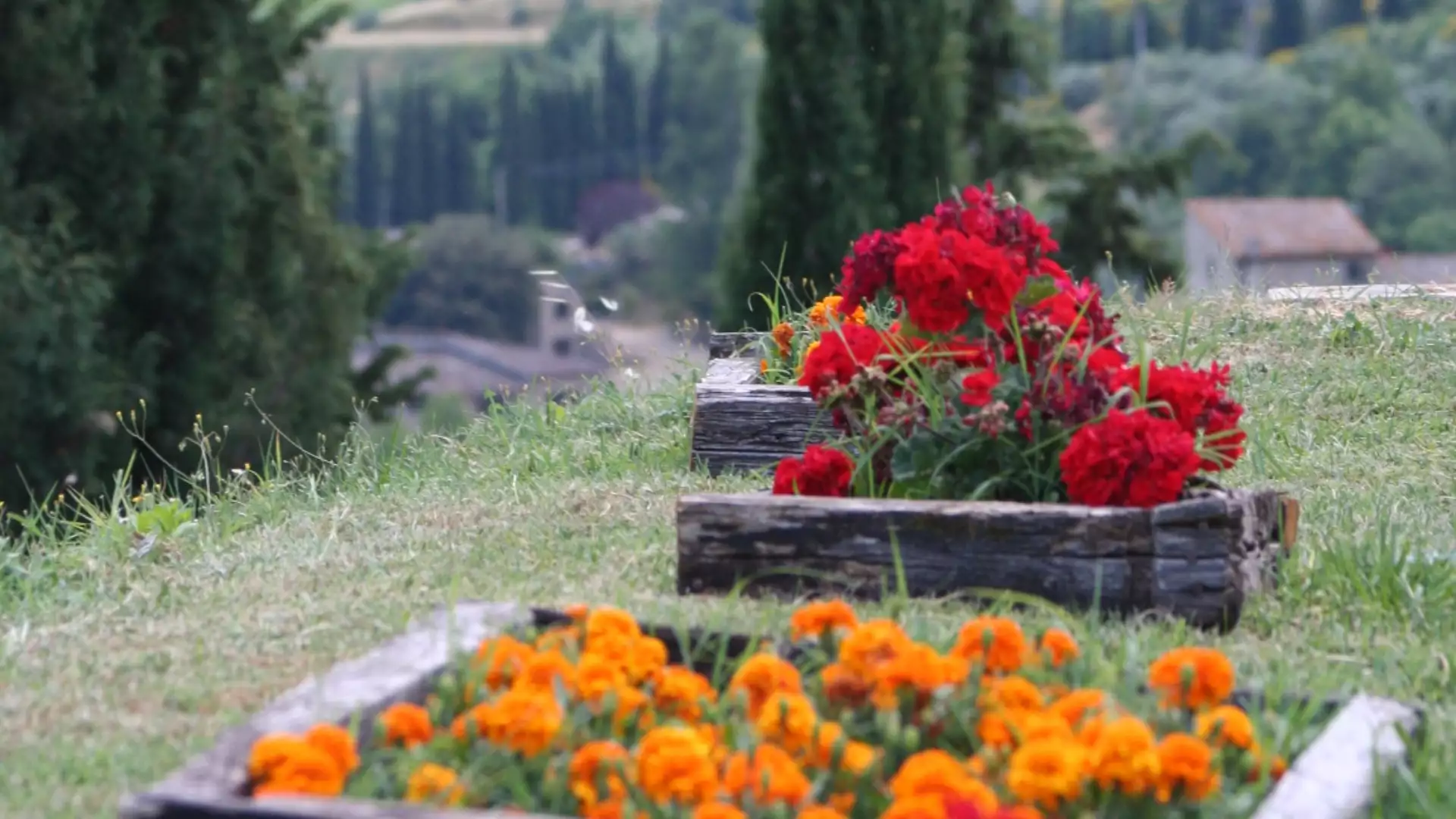 Immagine Exklusives Mittagessen mit Kellertour und Verkostung in den Chianti Classico Hügeln 7 Immagine Exklusives Mittagessen mit Kellertour und Verkostung in den Chianti Classico Hügeln 7