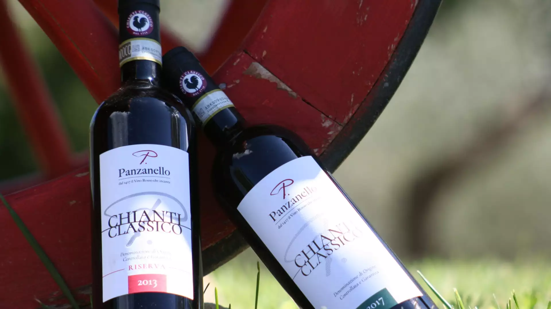 Immagine Exklusives Mittagessen mit Kellertour und Verkostung in den Chianti Classico Hügeln 8 Immagine Exklusives Mittagessen mit Kellertour und Verkostung in den Chianti Classico Hügeln 8