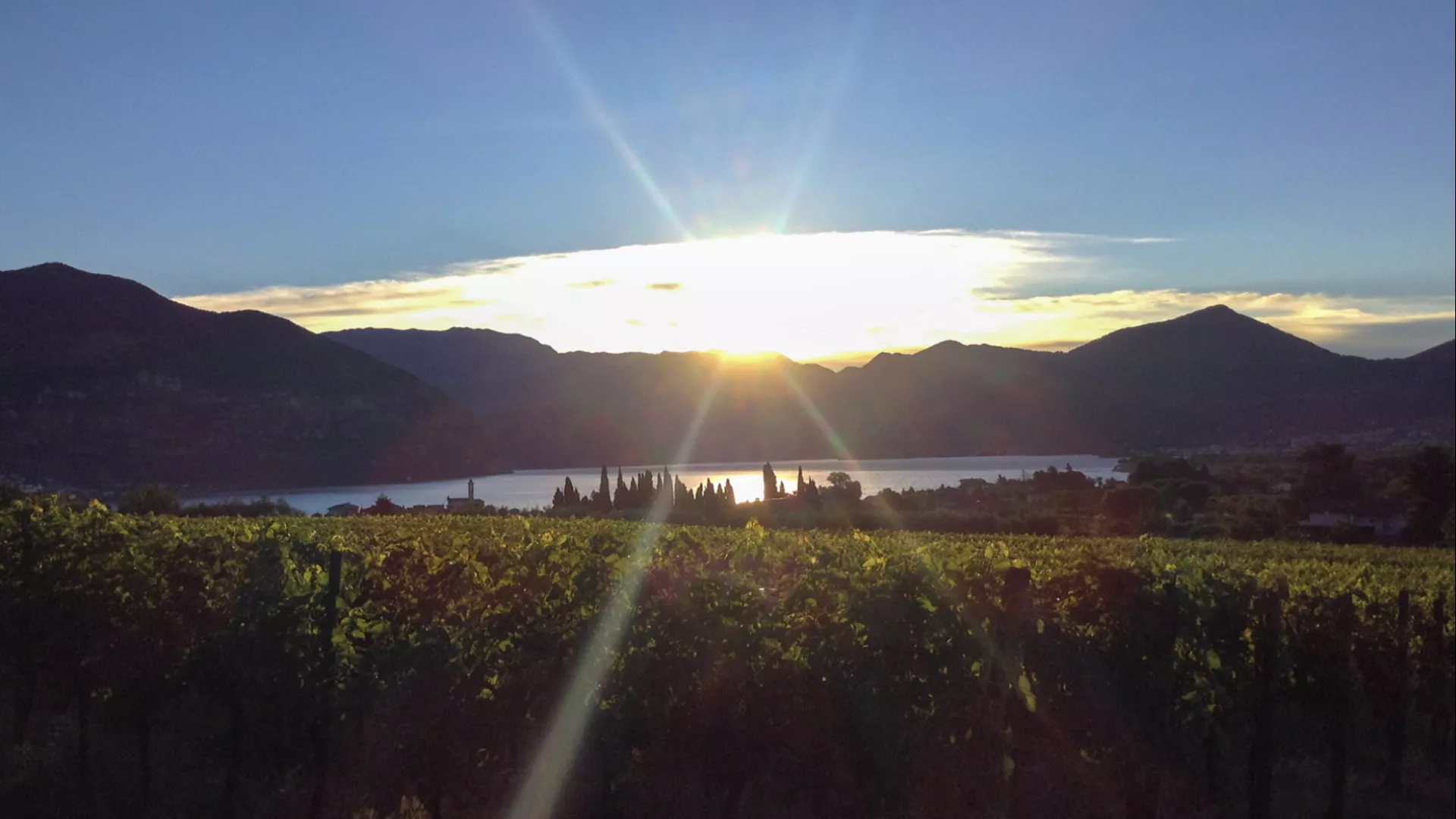 Immagine cantina Monte Alto Franciacorta