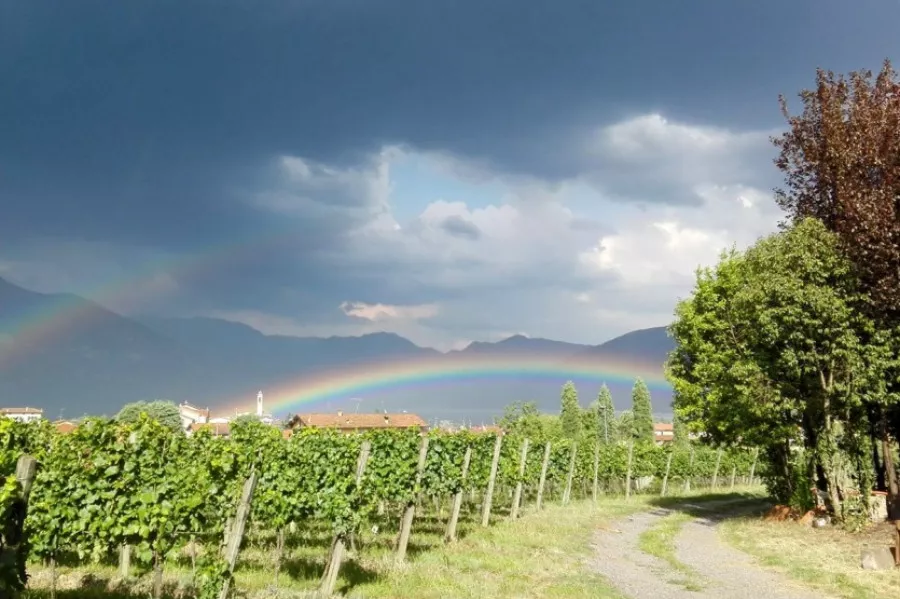 Immagine Monte Alto Franciacorta 3 Immagine Monte Alto Franciacorta 3