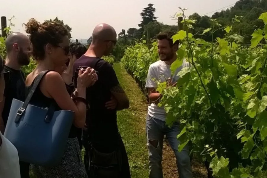Immagine Monte Alto Franciacorta 4 Immagine Monte Alto Franciacorta 4