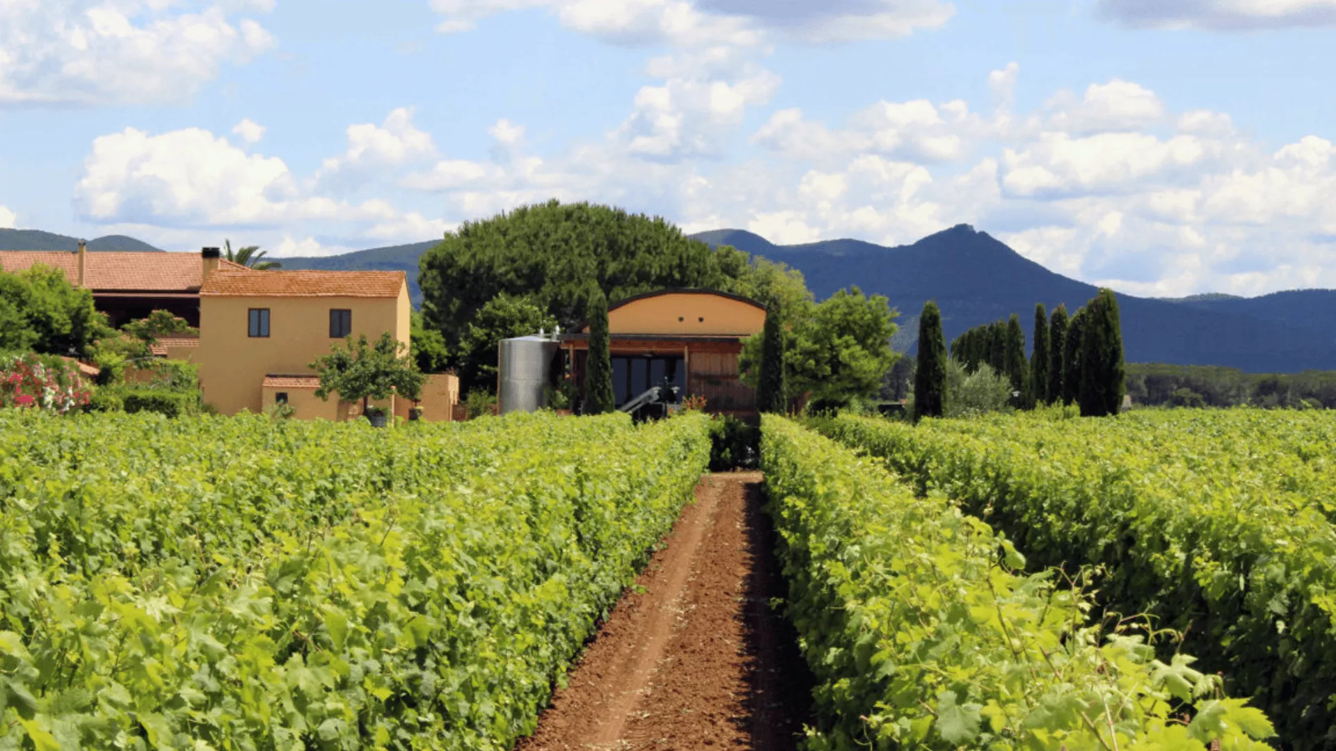 Immagine cantina Fattoria Terre del Marchesato