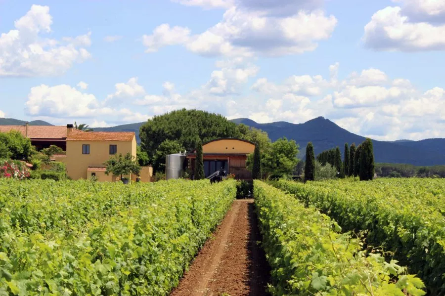 Immagine Fattoria Terre del Marchesato 3 Immagine Fattoria Terre del Marchesato 3