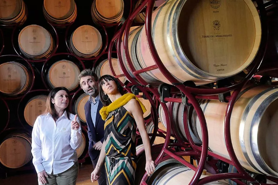 Immagine Wine Experience Classic 7 Immagine Wine Experience Classic 7