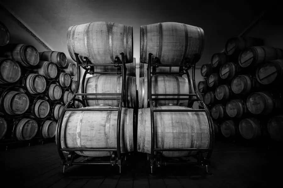 Immagine Wine Experience Classic 8 Immagine Wine Experience Classic 8