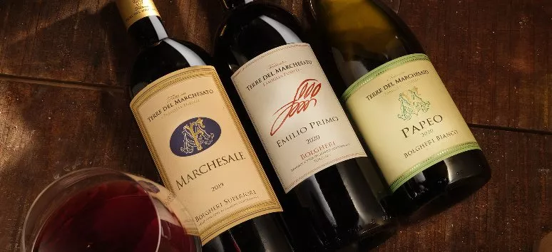 Immagine visita Wine Experience Classic cantina Fattoria Terre del Marchesato
