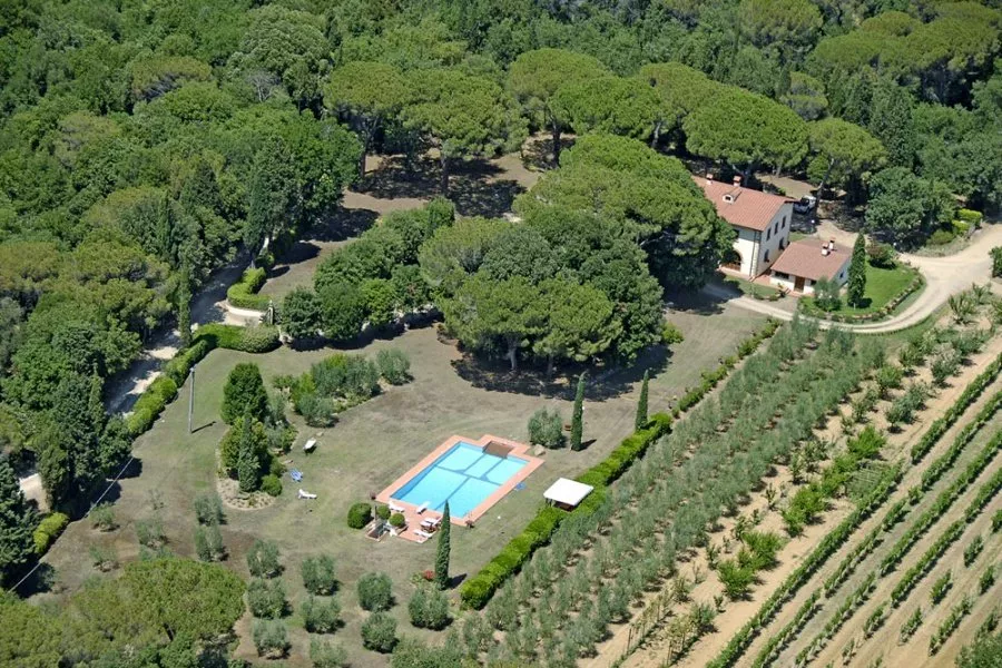 Immagine Tenuta la Pineta 3 Immagine Tenuta la Pineta 3