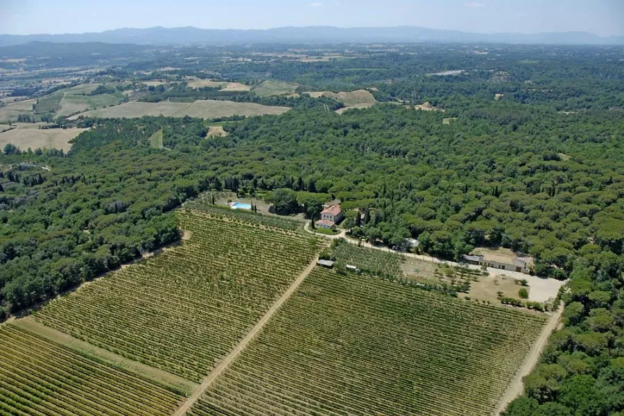 Immagine Tenuta la Pineta 4