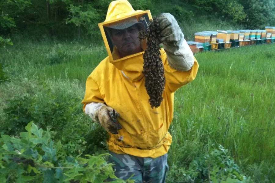Immagine Visita con degustazione standard 8 Immagine Visita con degustazione standard 8