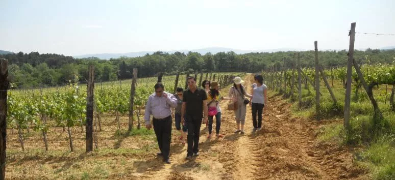Immagine visita Visita con degustazione standard cantina Tenuta la Pineta