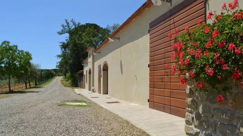 Immagine visita Visita con degustazione di vini in purezza cantina Tenuta la Pineta Immagine visita Visita con degustazione di vini in purezza cantina Tenuta la Pineta