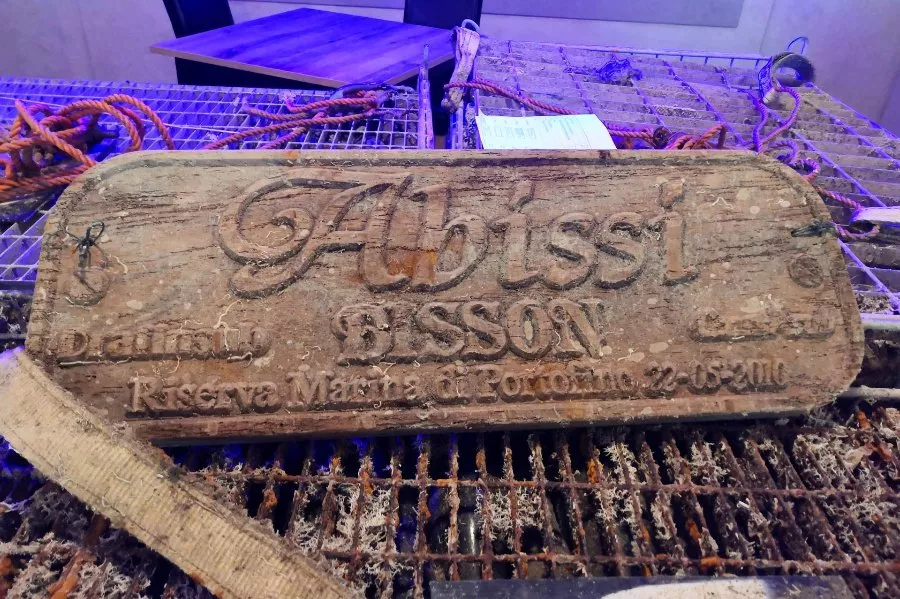 Immagine Bisson Cantina Degli Abissi  5