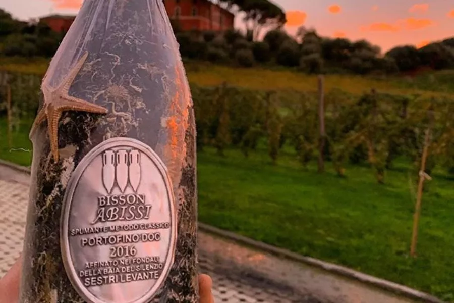 Immagine Degustazione top 14 Immagine Degustazione top 14