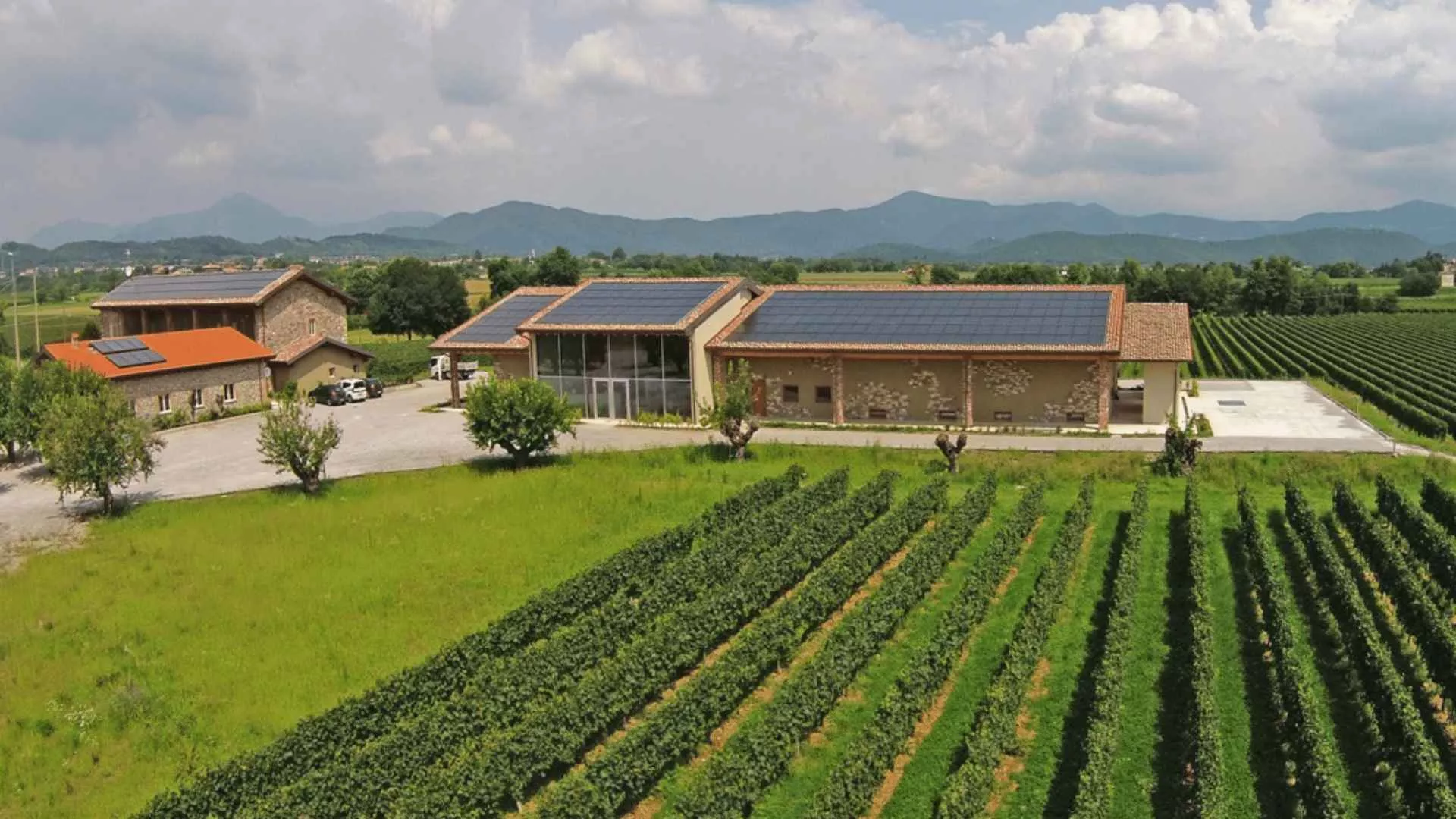Immagine cantina Romantica