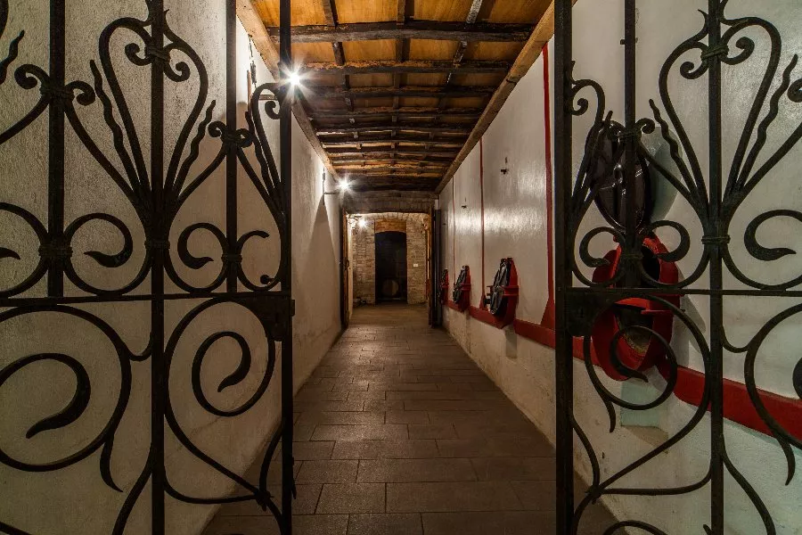 Immagine Torrazzetta Winery 4