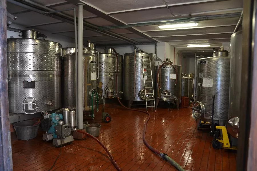 Immagine Torrazzetta Winery 5