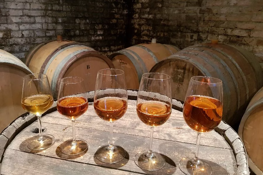 Immagine Wine Tasting 7 Immagine Wine Tasting 7