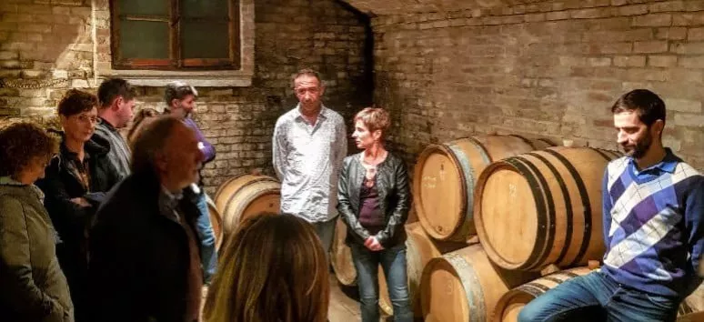 Immagine visita Wine Tasting  cantina Torrazzetta Winery