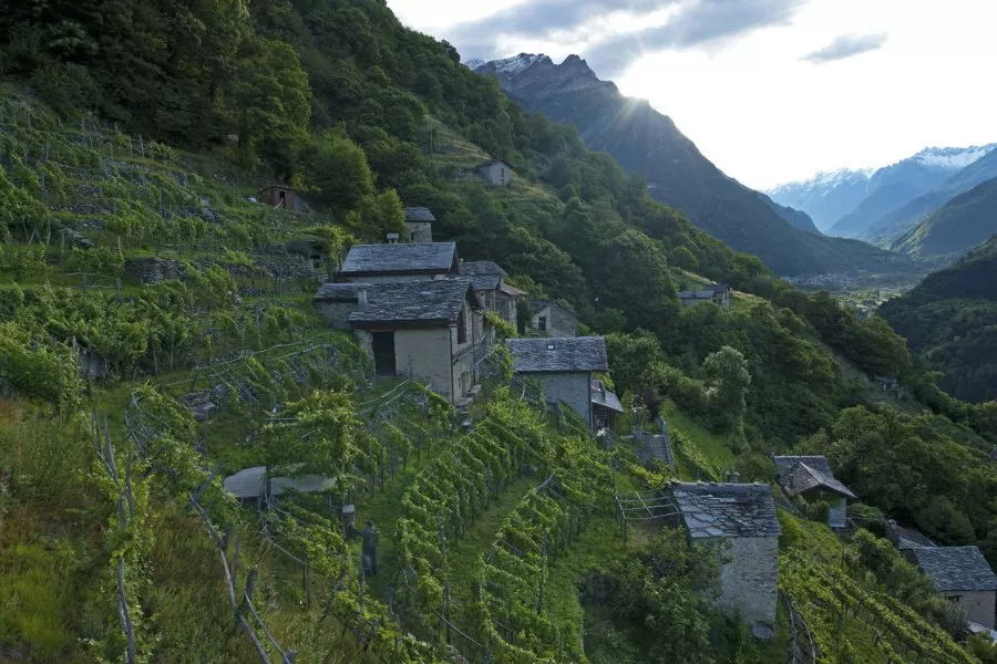 Immagine Mamete Prevostini Valtellina 9 Immagine Mamete Prevostini Valtellina 9
