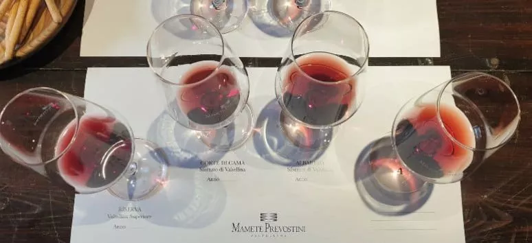 Immagine visita Valtellina da Bere cantina Mamete Prevostini Valtellina
