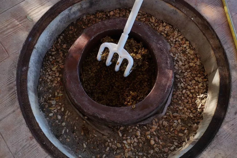 Immagine Alla scoperta dei Vini naturali della Tenuta San Marcello 10 Immagine Alla scoperta dei Vini naturali della Tenuta San Marcello 10