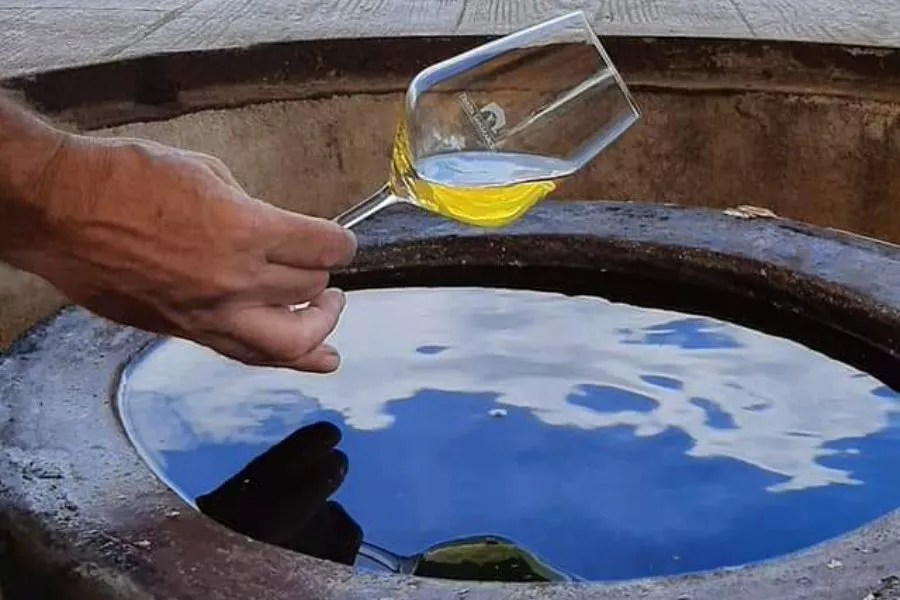 Immagine Alla scoperta dei Vini naturali della Tenuta San Marcello 11 Immagine Alla scoperta dei Vini naturali della Tenuta San Marcello 11