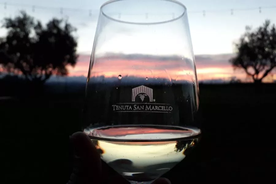 Immagine Alla scoperta dei Vini naturali della Tenuta San Marcello 12 Immagine Alla scoperta dei Vini naturali della Tenuta San Marcello 12