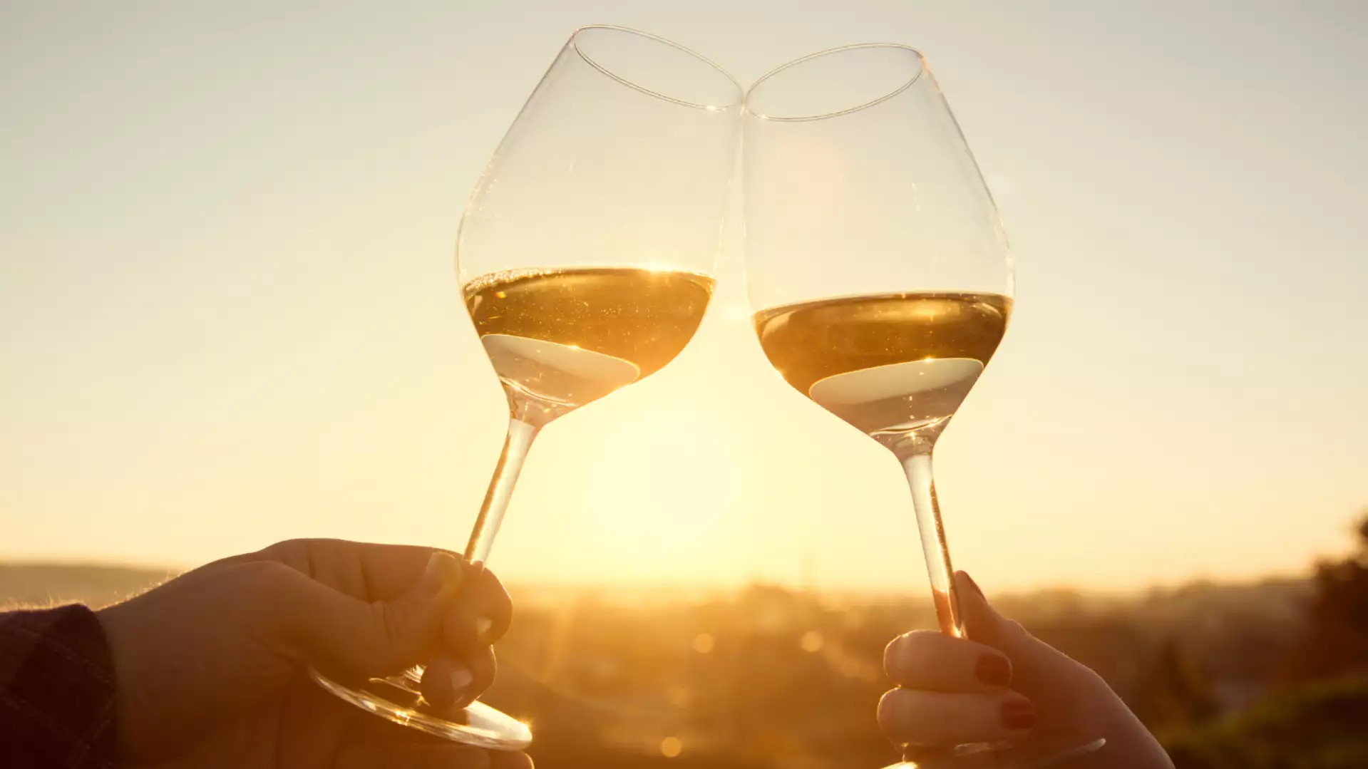 Immagine visita Degustazione Vini autoctoni Marchigiani – Verdicchio dei Castelli di Jesi DOC e Lacrima di Morro d’Alba DOC Immagine visita Degustazione Vini autoctoni Marchigiani – Verdicchio dei Castelli di Jesi DOC e Lacrima di Morro d’Alba DOC