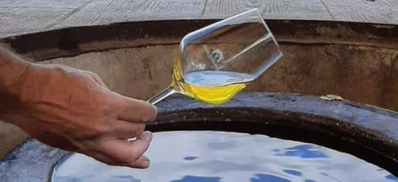 Immagine visita Alla scoperta dei Vini naturali della Tenuta San Marcello